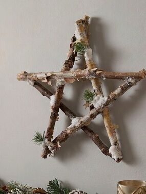 Rustic Snow-Tipped Birch Star Wall Decor - Home Holiday